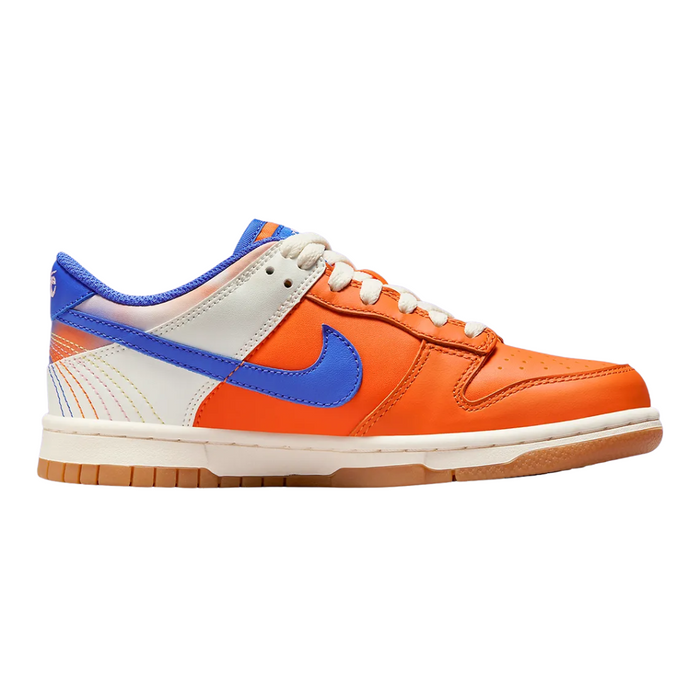 Nike Big Kids’ Dunk Low SE Shoes "everything you need" FN0600-801