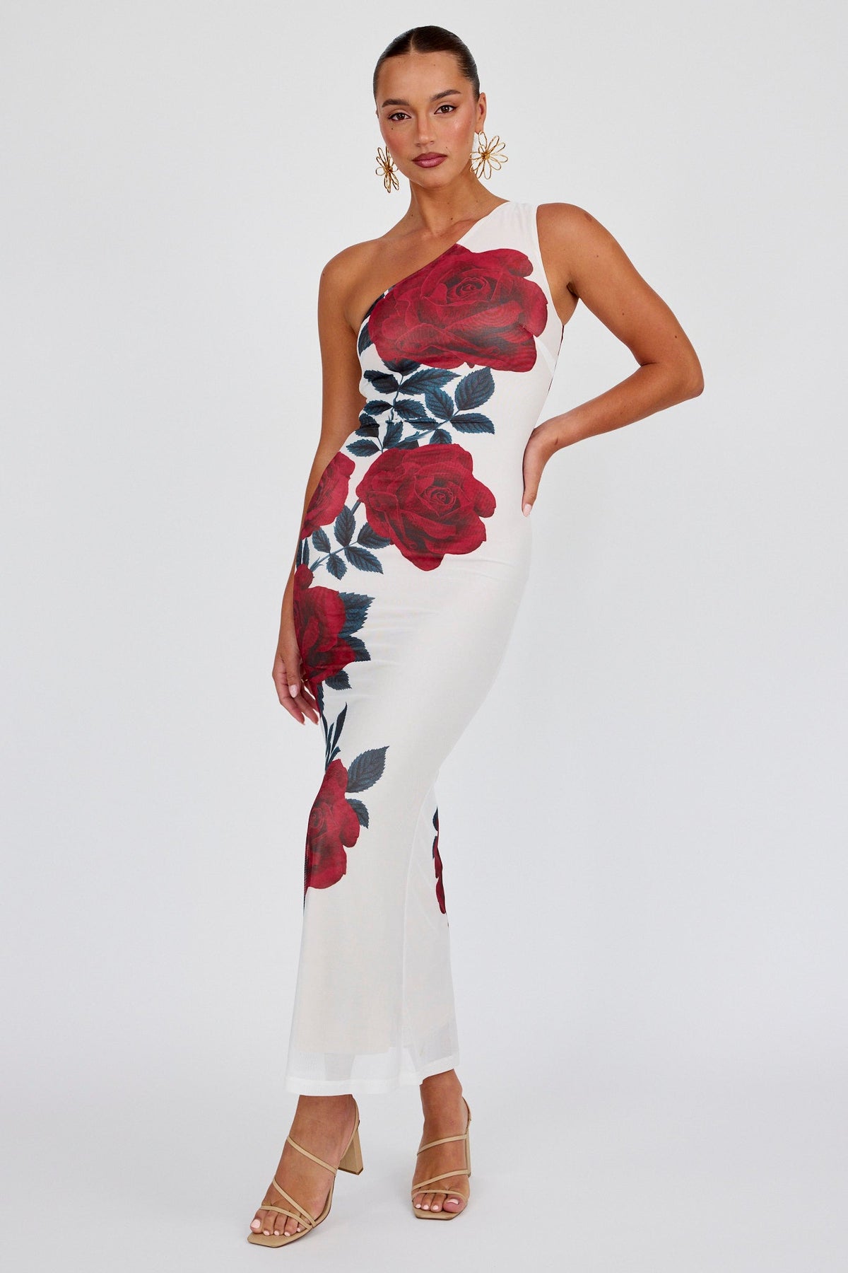 Desiree One Shoulder Mesh Maxi Dress Rose
